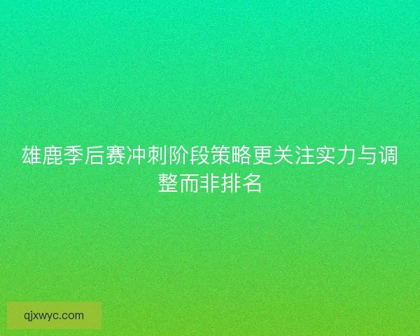 雄鹿季后赛冲刺阶段策略更关注实力与调整而非排名